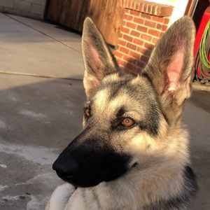 Meet your Posher, Christian